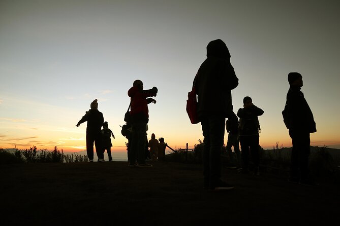 1 Day Amazing Bromo Sunrise tour from Malang Surabaya 7 spots - Why Mount Bromo is worth losing sleep over