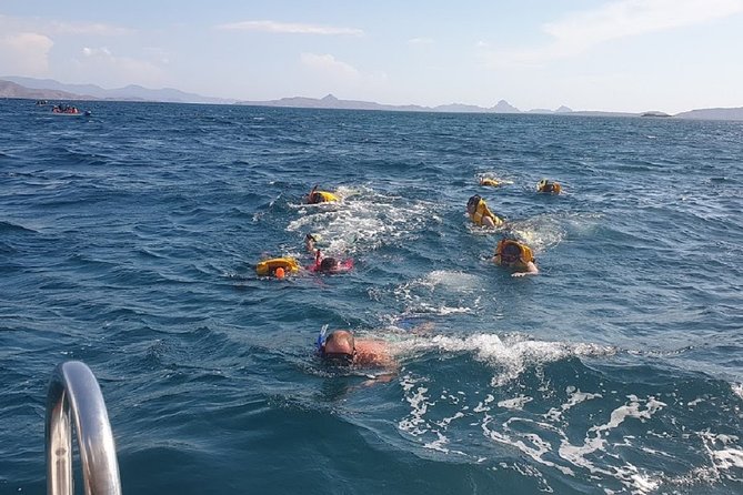 1- day Komodo Island Hopping Tour by Speed Boat departure From Labuan bajo - Why this full-day route works