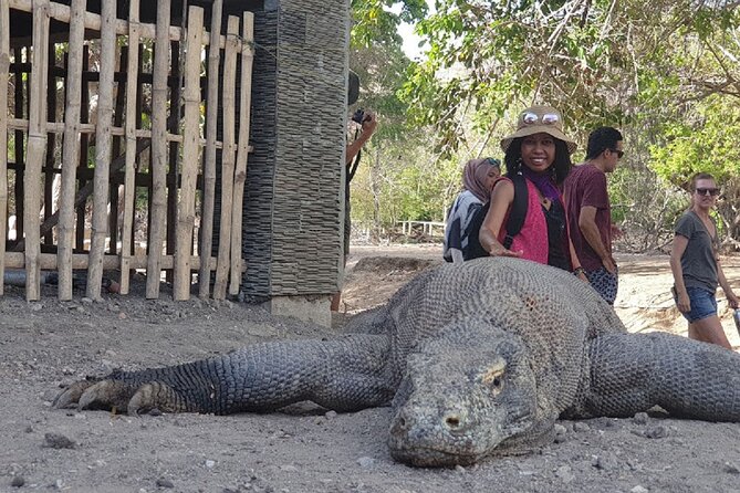 1- day Komodo Island Hopping Tour by Speed Boat departure From Labuan bajo - Taka Makassar and its tiny sandbar