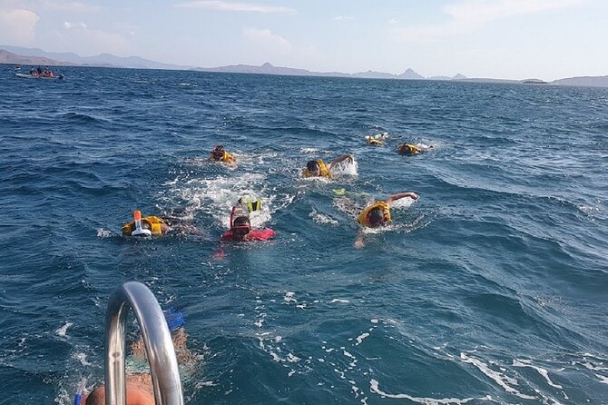 1- day Komodo Island Hopping Tour by Speed Boat departure From Labuan bajo - Kanawa Island: the gentler final stop