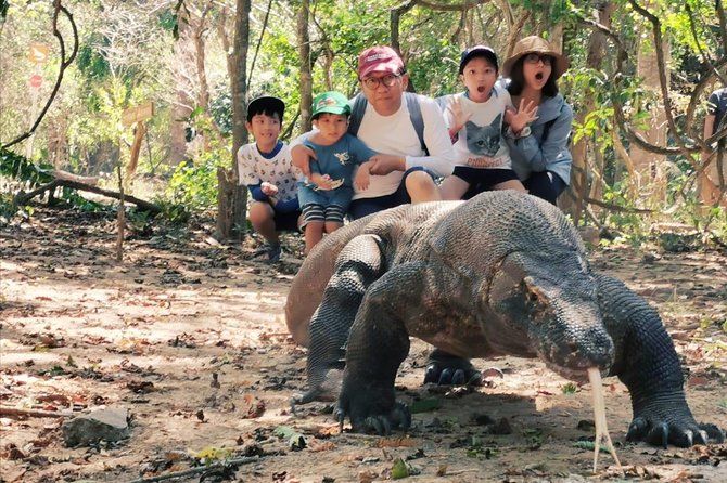 1 Day Komodo Trip By Share Fast Boat - A very full day from Labuan Bajo