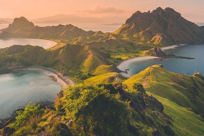1 Day Komodo Trip By Share Fast Boat - Meeting Komodo dragons on Komodo Island