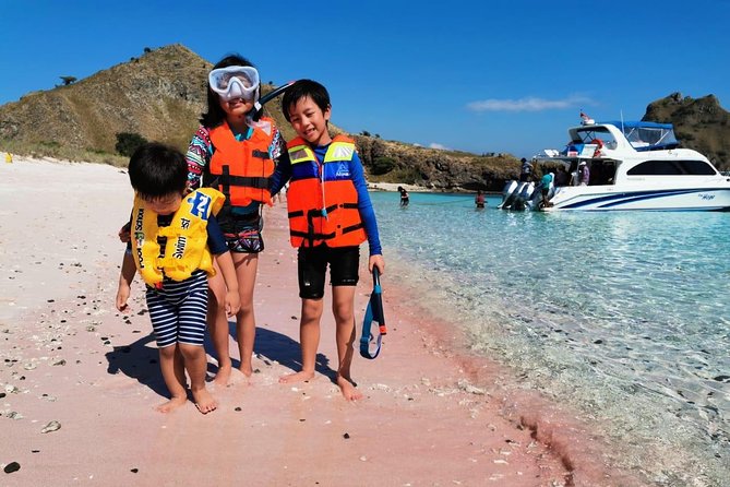 1 Day Komodo Trip By Share Fast Boat - Price and what IDR 500,000 changes