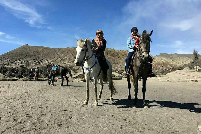 1 Day - Mount Bromo (5 spots) and Madakaripura waterfall // 23.00 - 18.00 - Love Hill and Widodaren after first light