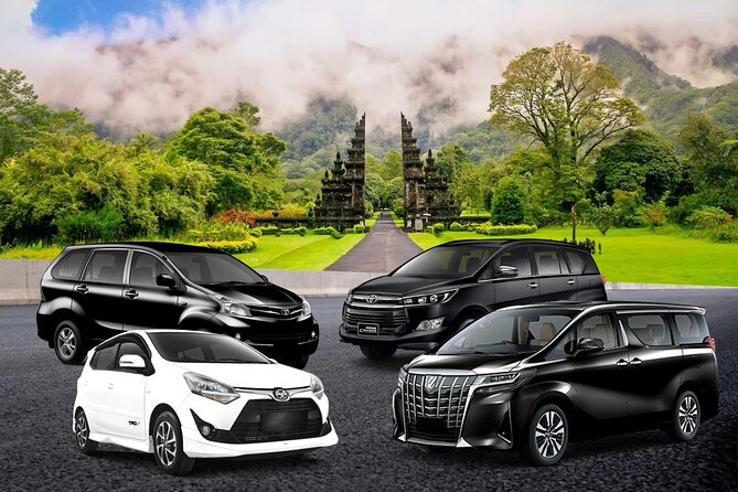 1-Day Private Bali Car Transfer With Experienced Driver - What the driver adds to the day