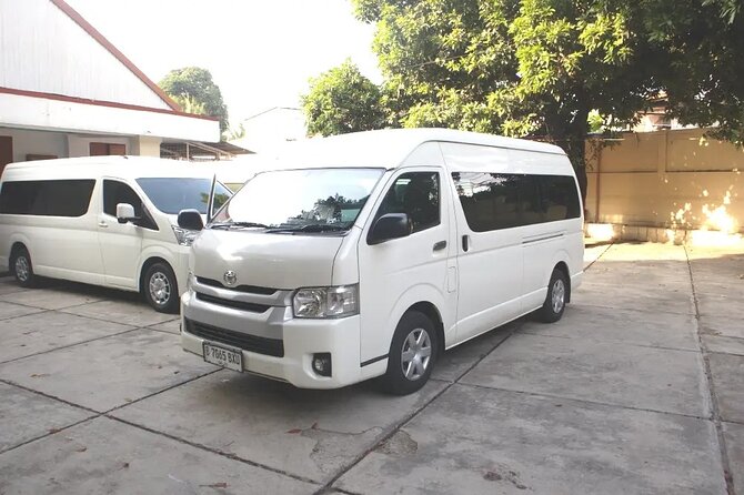 1-Day Private Bali Car Transfer With Experienced Driver - Vehicle choices and comfort on Bali roads