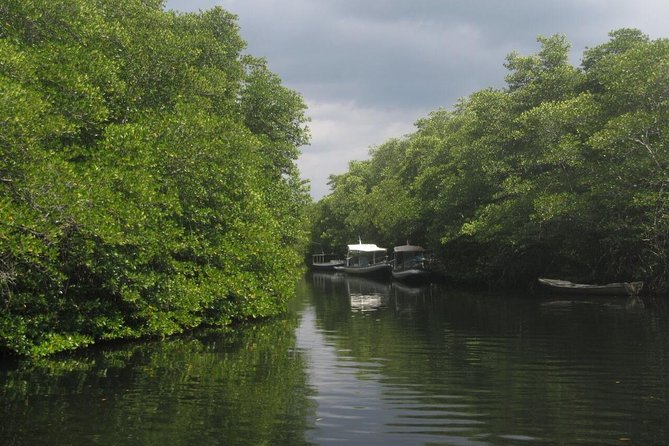 1 Hour Mangrove Tour From Lembongan with Kayak, Paddle, or Boat - Arriving at Mangrove Beach in Jungutbatu