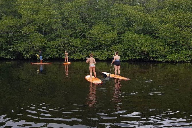 1 Hour Mangrove Tour From Lembongan with Kayak, Paddle, or Boat - Boat traffic and the feel of the route