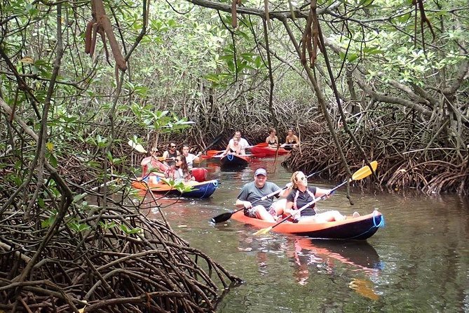 1 Hour Mangrove Tour From Lembongan with Kayak, Paddle, or Boat - Safety, lockers, and what to bring
