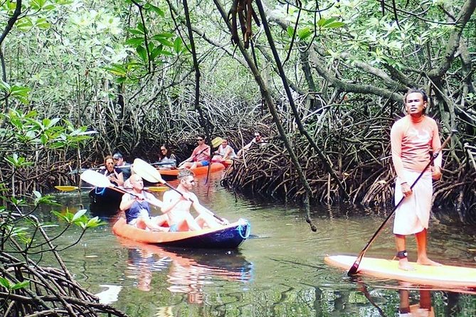 1 Hour Mangrove Tour From Lembongan with Kayak, Paddle, or Boat - Choosing between kayak, SUP, and boat