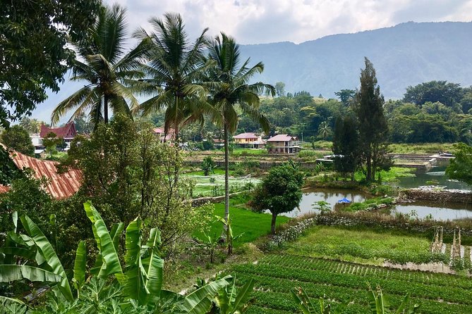 1 week private round trip North Sumatra - Day 1: Four hours from Medan to Bukit Lawang