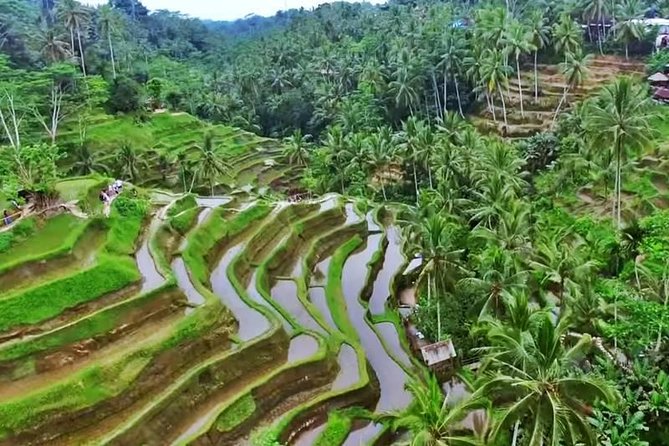 2-Day Experience Bali: Most Popular Tour - Day 2: Royal temples, Lake Beratan, and the sea temple