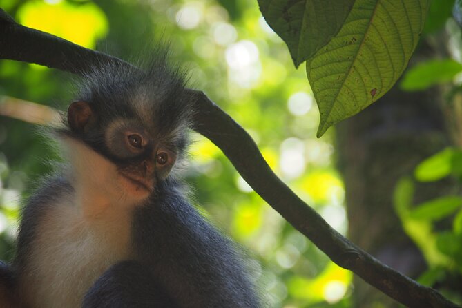 2-Day Jungle Trekking & Rafting in North Sumatra - What the $157.05 price really covers