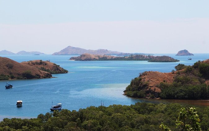 2-Day Komodo National Park and Rinca Island Wildlife Adventure from Bali - Key points to know before booking