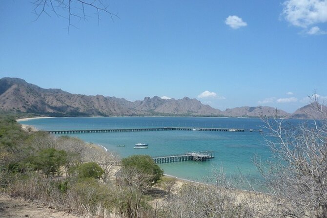 2-Day Komodo National Park and Rinca Island Wildlife Adventure from Bali - Extra fees and firm cancellation rules