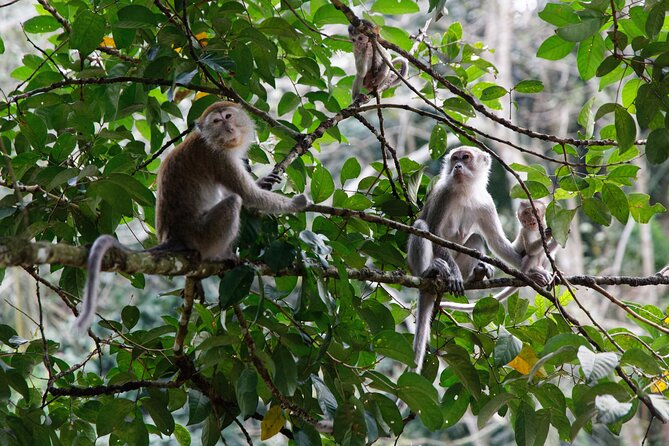 2 Days 1 Night Ethical Jungle Trekking - What the $207.79 price really covers