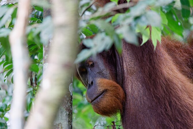 2 Days 1 Night Ethical Jungle Trekking - Who should book this trek?