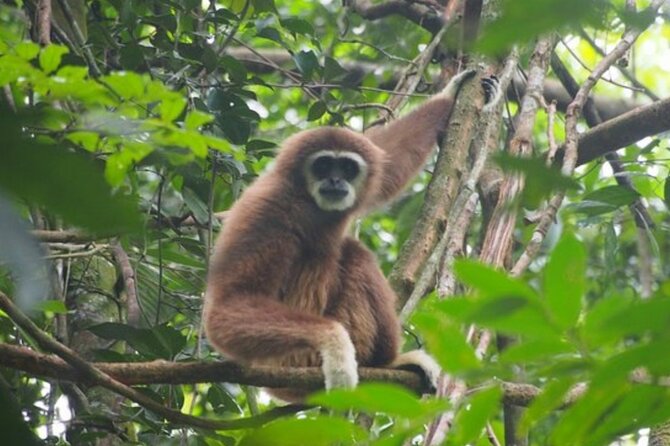 2 Days 1 Night Ethical Jungle Trekking - Riverside camping gives the trip its character