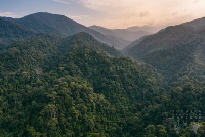 2 Days and 1 Night Ethical Jungle Trek