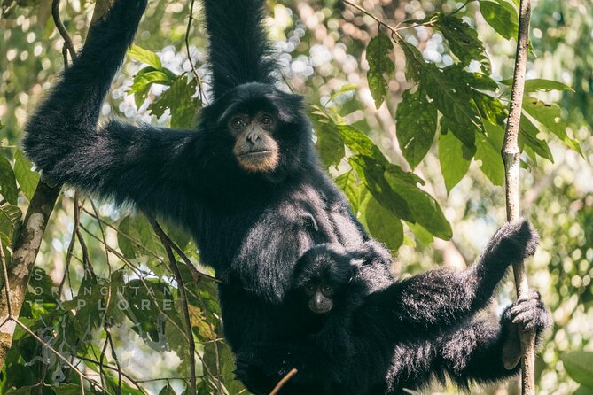 2 Days and 1 Night Ethical Jungle Trek - Day two: breakfast, more wildlife, and tubing home