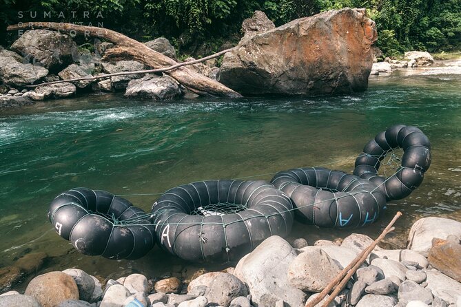 2 Days and 1 Night Ethical Jungle Trek - What $146.62 includes