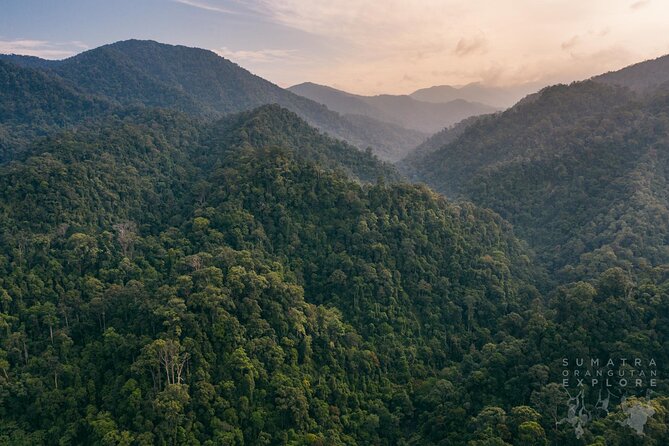 2 Days and 1 Night Ethical Jungle Trek - Day one: rubber plantations, forest paths, and a riverside camp
