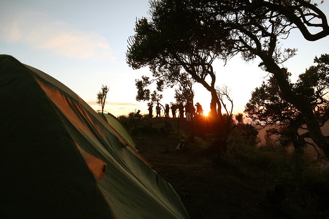 2 Days - Bromo Camping // 14.00 - 13.00 - Day one: Malang to the Bromo camping area