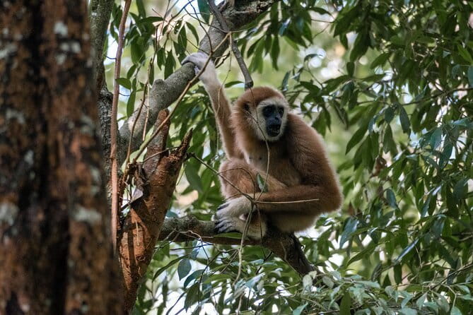 2 Days Ethical Jungle Trek in Sumatra - Entering Gunung Leuser at 9 a.m.