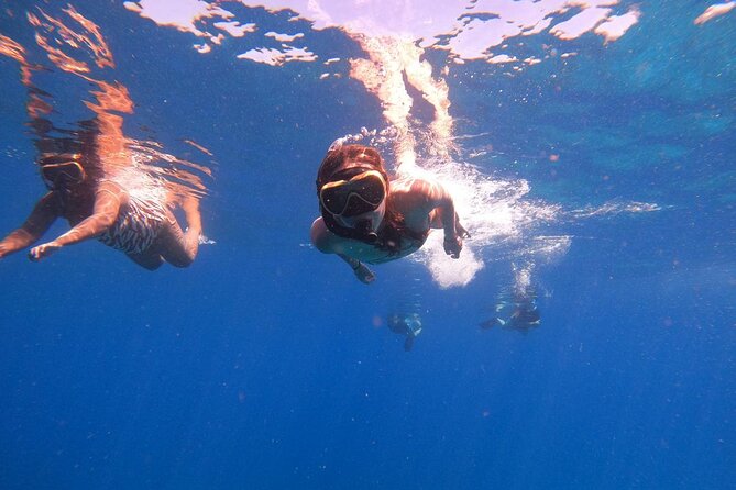 2 Days Tour to explore Labuan Bajo and Komodo Island - Key points to know before booking