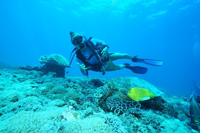 2 or 3 dives in Nusa Lembongan and Penida, for certified diver (in Lembongan) - Manta rays set the tone at Manta Point
