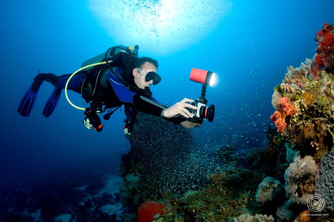 2 or 3 dives in Nusa Lembongan and Penida, for certified diver (in Lembongan) - What your morning looks like in Lembongan