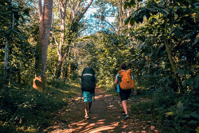 2D1N Senaru Crater Rim Trekking - Day one, from Senaru forest to 2,641 meters