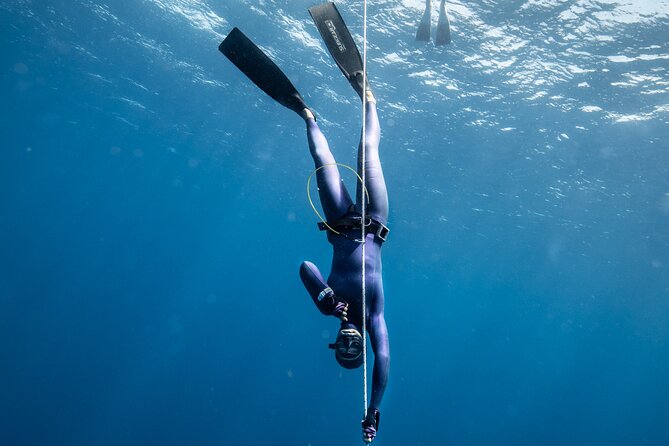 3-Day Freediving Level 1 Course - Three open-water sessions around Nusa Penida