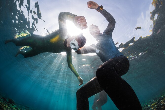3-Day Freediving Level 1 Course - Why the four-person limit matters