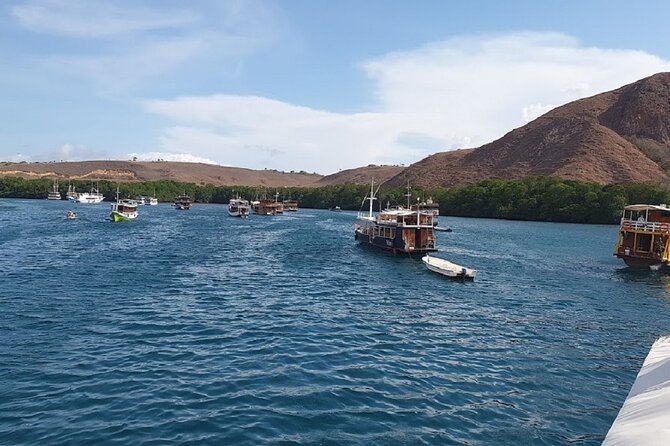 3-Day Komodo island Tour with or without Roundtrip Flight From Bali - Boat size, group rhythm, and comfort