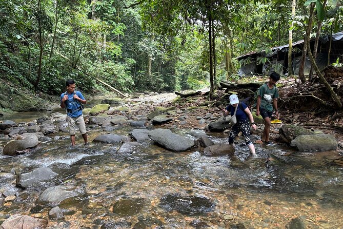 3 Days Orangutan Sumatra Jungle Trekking with Rafting - Two nights at simple jungle camps