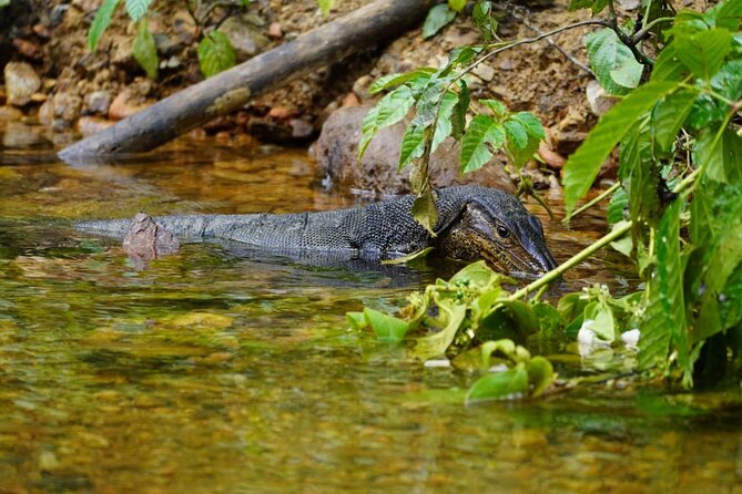 3 Days Orangutan Sumatra Jungle Trekking with Rafting - Rafting back to Bukit Lawang