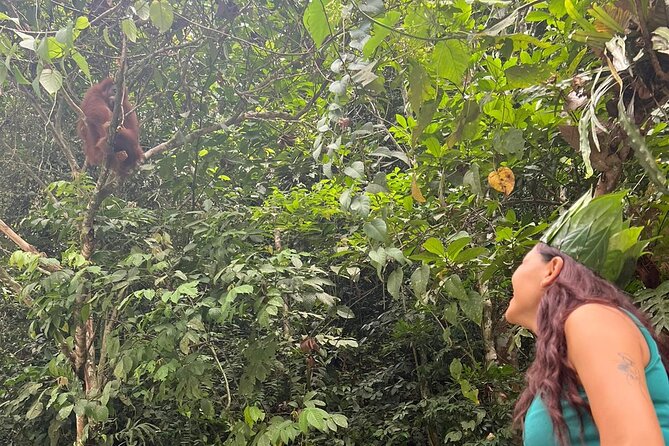 3 Days Orangutan Sumatra Jungle Trekking with Rafting - The first jungle miles from Bukit Lawang