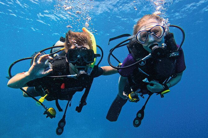 3 Days PADI Open Water Course in Pemuteran - Day one: online study and confined-water practice
