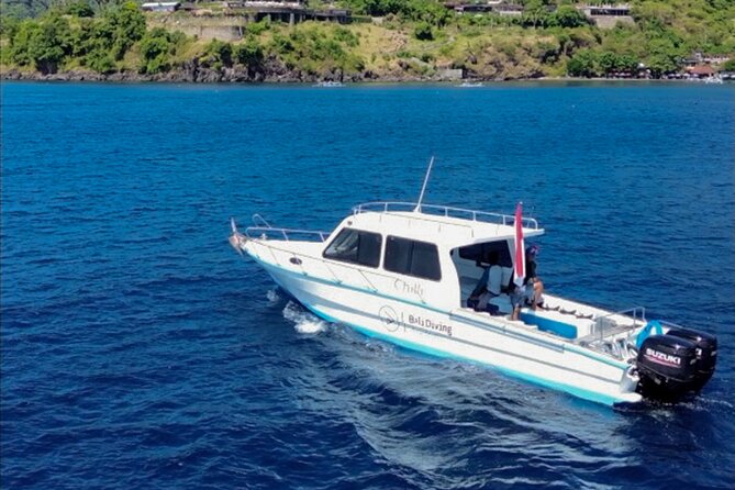 3 Epic Dives in Nusa Penida - Certified Divers' Day Trip - Three sessions from a Sanur speedboat