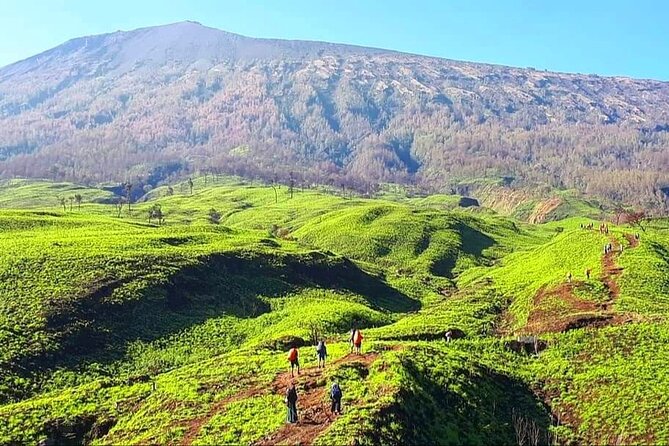 3D 2N Mount Rinjani Trekking Tour To Summit And Lake - What the $235 price covers