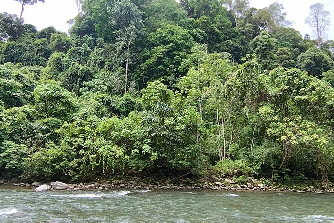 3D2N Jungle Trek | 2 Night accommodation | Pick up and drop off - An Early Morning Walk and the Tube Raft Home
