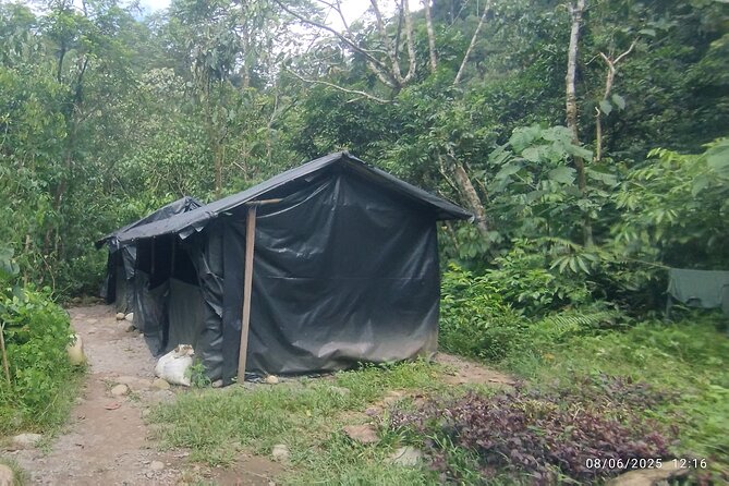 3D2N Jungle Trek | 2 Night accommodation | Pick up and drop off - The Four-Hour Return to Medan