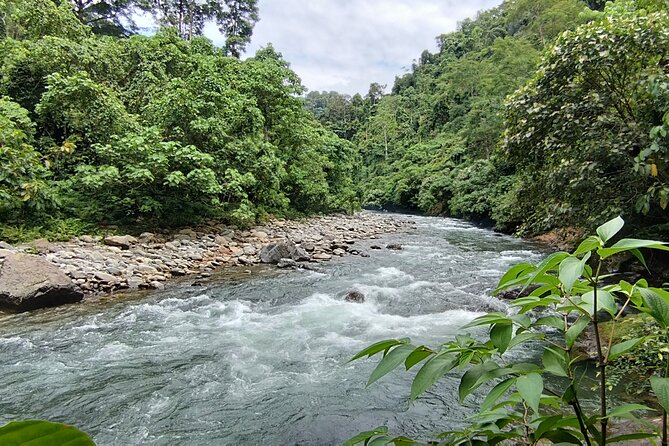 3D2N Jungle Trek | 2 Night accommodation | Pick up and drop off - What the $404.32 Price Covers