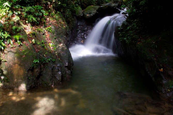 3D2N Jungle Trek | 2 Night accommodation | Pick up and drop off - The People Behind the Trek