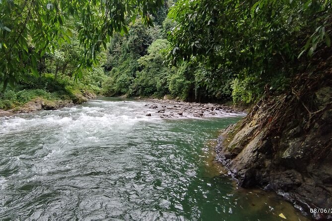 3D2N Jungle Trek | 2 Night accommodation | Pick up and drop off - Two Nights Under Canvas in the Forest