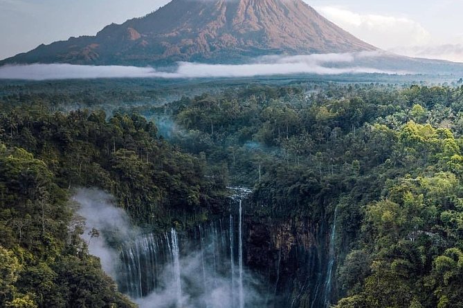 3Days - Tumpaksewu Bromo Ijen Adventure via Malang or Surabaya - Day two: Bromo before breakfast