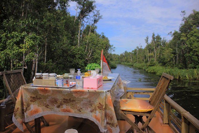 3ns Private Orangutan and Bornean Primates Kelotok Tour - Day 1: From Pangkalan Bun to the Sekonyer River