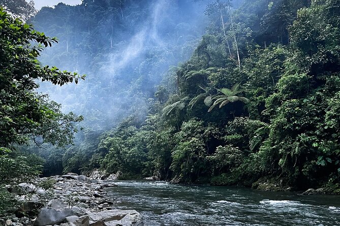 4 Day Jungle Adventure including 2 day trek - Sleeping in the jungle, not a resort