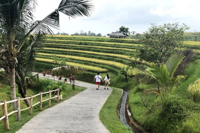 4-Hour Private Tour in Jatiluwih Terraces and Butterfly Park - Why this four-hour route works